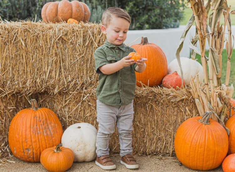 toddler holding a small pumpkin with hay and pumpkins in the background