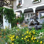 small image of a main entrance of a house and yellow plants