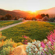small image of a beautiful garden at sunset