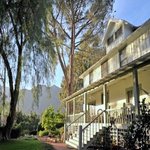 small and blurry image of property with a big tree by the side