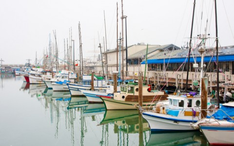 fishermans wharf