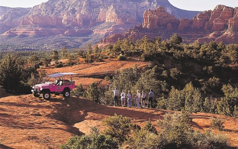 view of a pink group and tourist group on a dirt road 