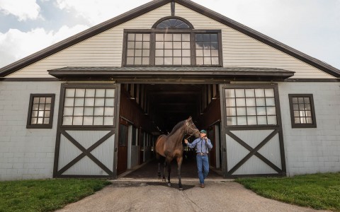 barn entrance with a horse at the door