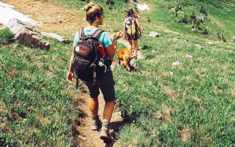 two friends hiking down the mountain with a dog and backpacks