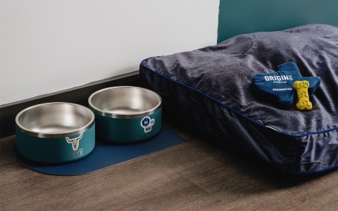 Dog bed with two doggy bowls and doggy bone