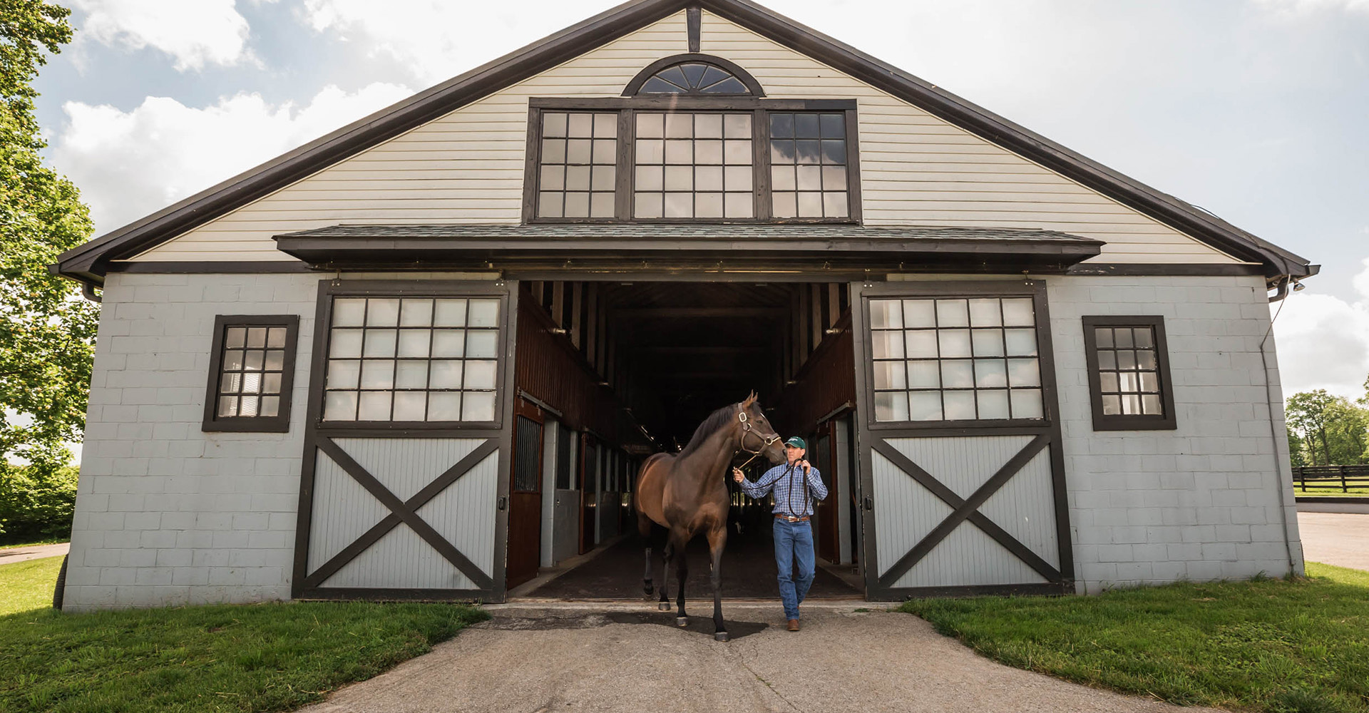 barn entrance with a horse at the door
