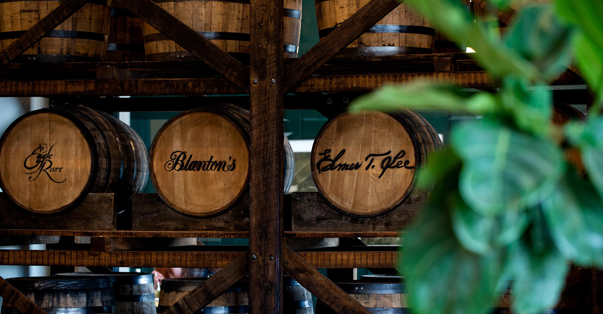 wall with wooden barrels of whiskey