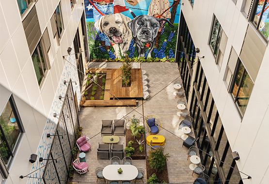 blue lacey courtyard view