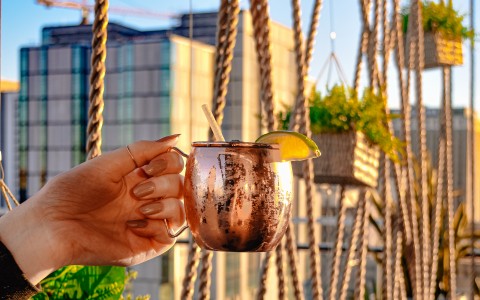Moscow Mule with ropes