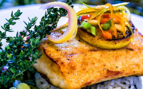 close view of salmon dish with vegetables