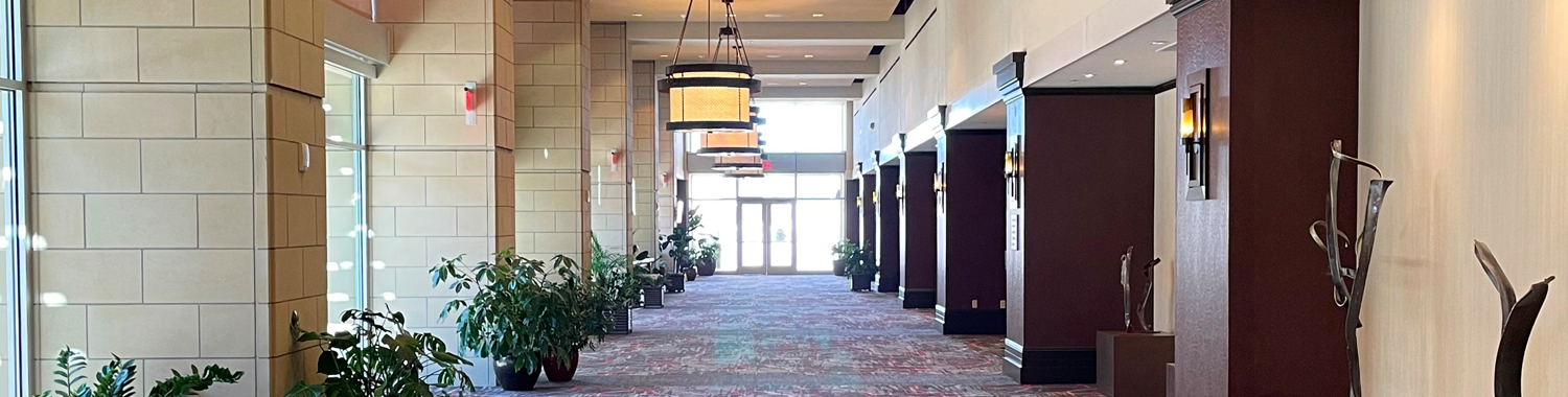 brightly lit hallway with a carpet and plants on the side