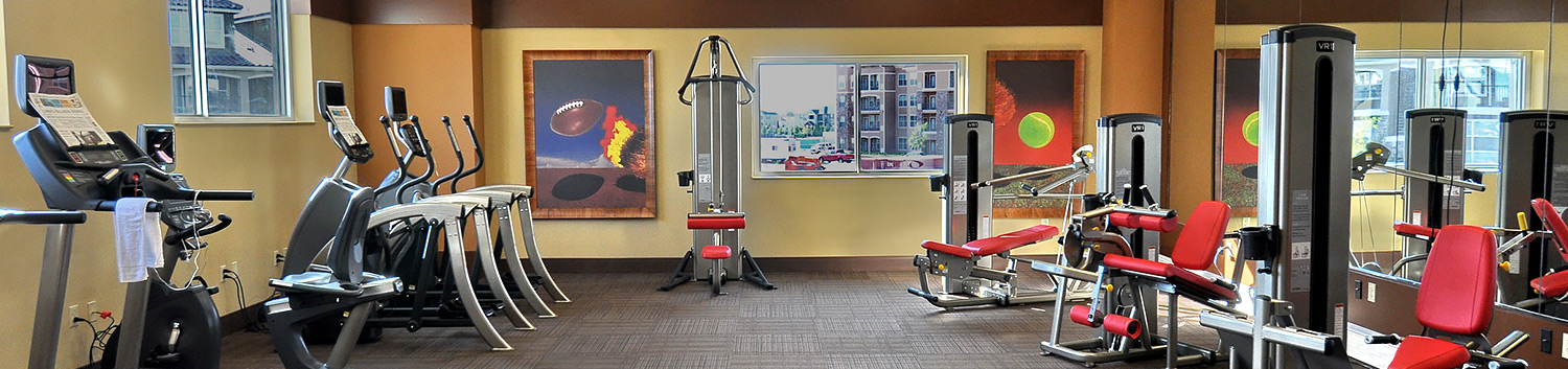 gym with weight machines, ellipticals, treadmills and weight bench