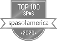 Top 100 logo in gray tones
