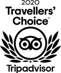 travelers choice logo in black tones
