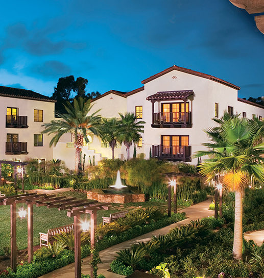 Exterior view of the hotel with big palm trees and clear sky at night