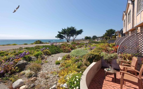 View of the ocean in the back on a sunny day with a dessert-like garden on the front