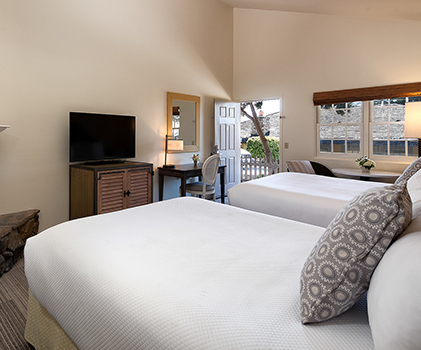 pacifica lp doglovers cambriaca fogcatcherinn