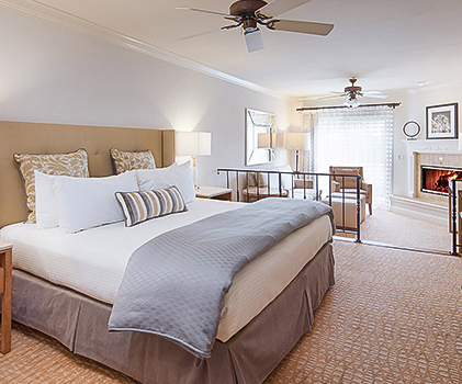 pacifica lp doglovers cambriaca pelicaninnandsuites