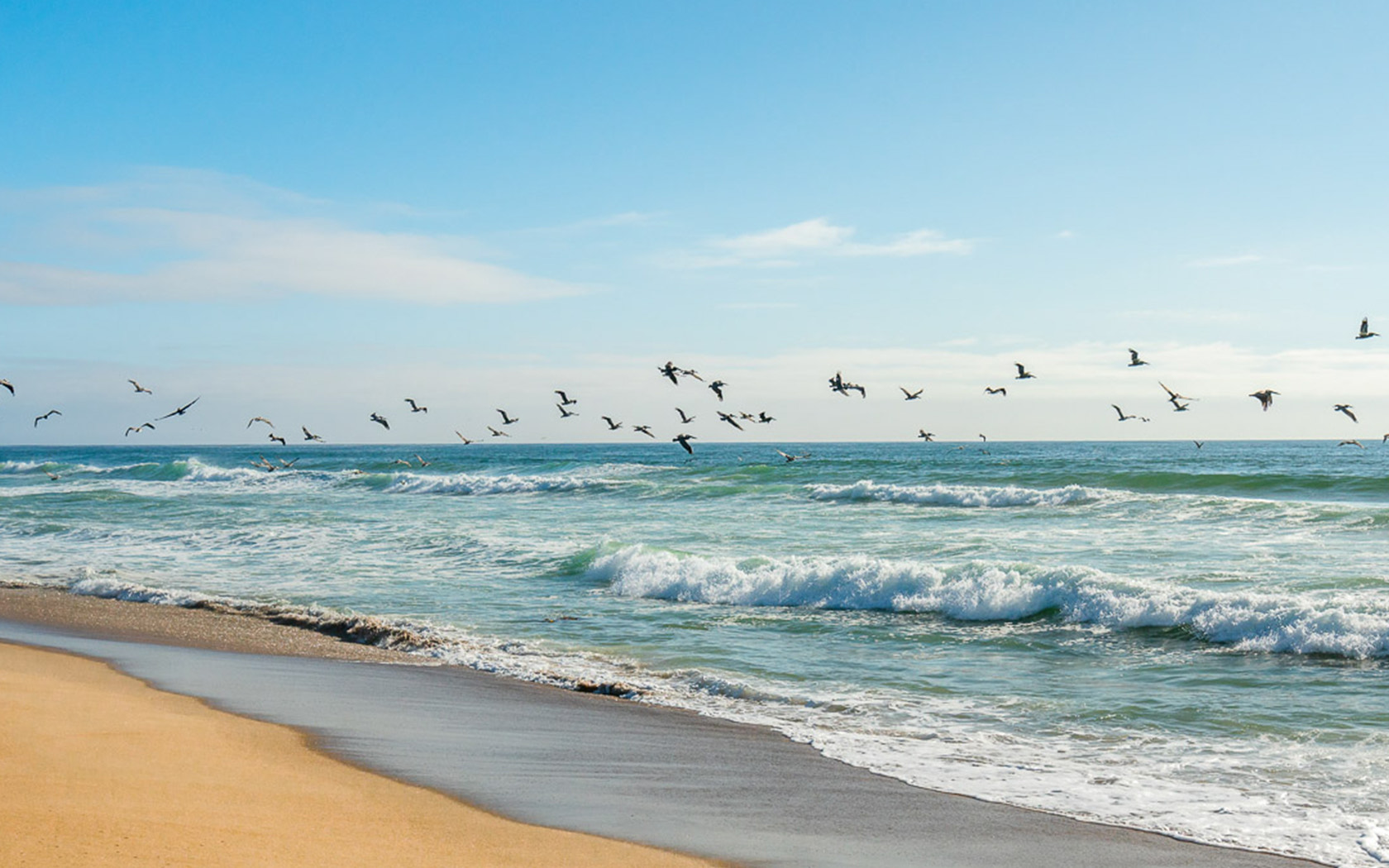 Riviera Beach with birds flying over waves