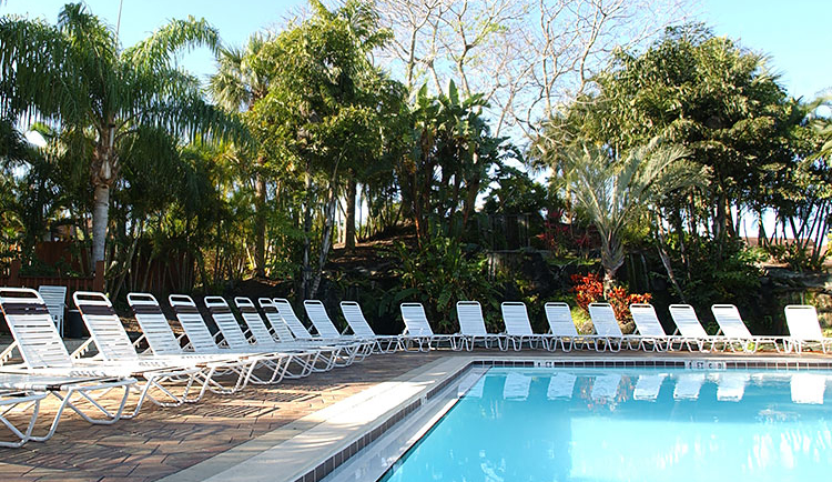 White loungers along pool with palm trees in the back