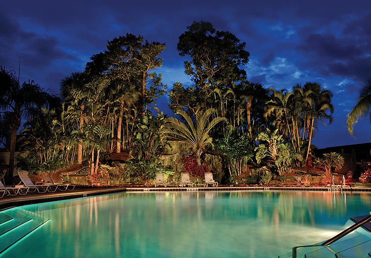 Property pool lit up at night with palm trees in the back