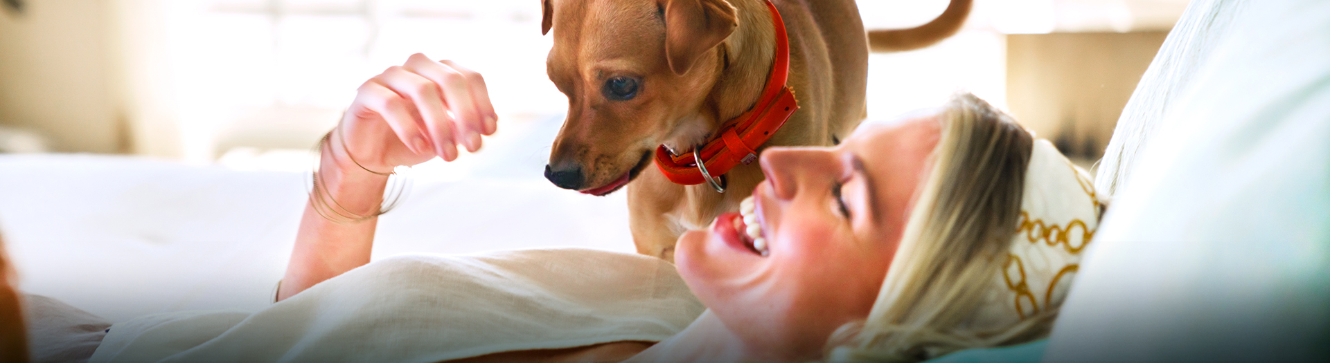 woman laying in bed next to a dog