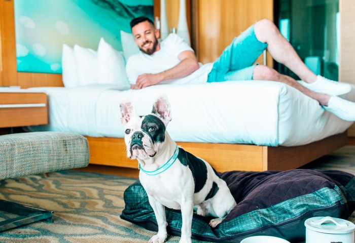 pet friendly room with man and his dog