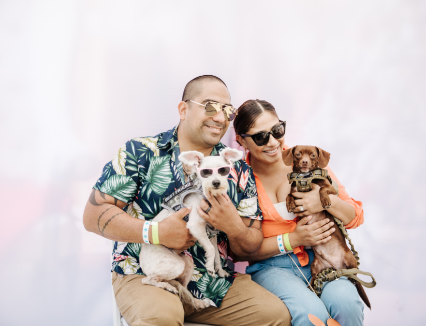 couple holding two dogs wearing sunglasses