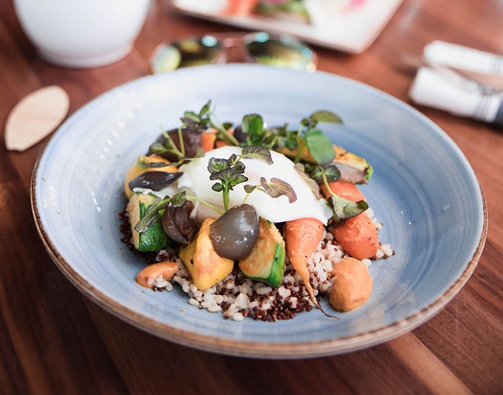blue plate with some quinoa and vegetables