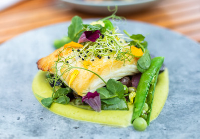 plate with fish and vegetables