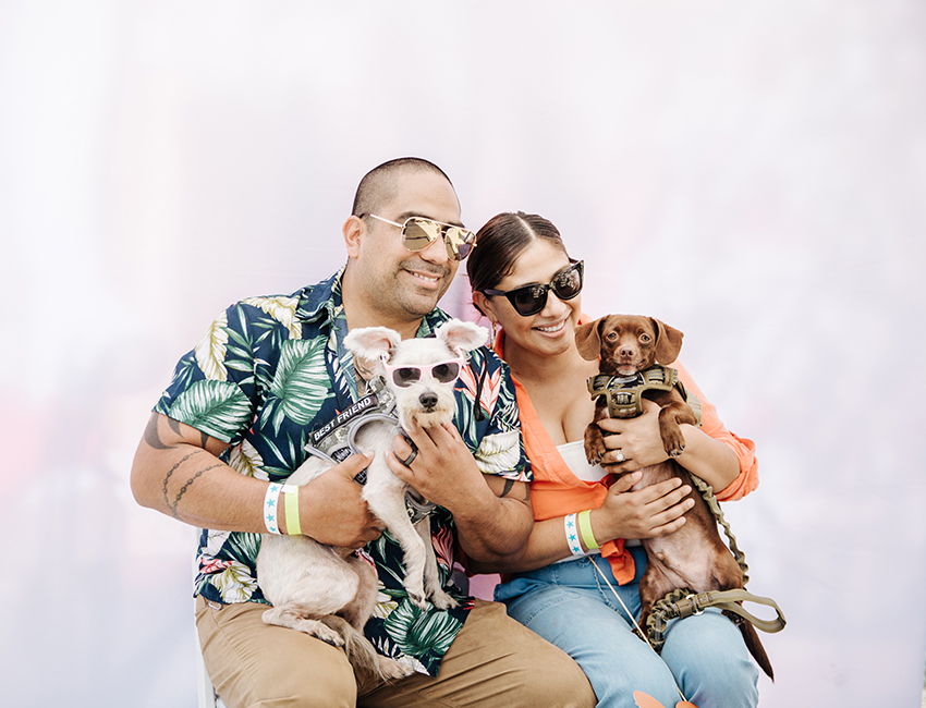 family with dogs
