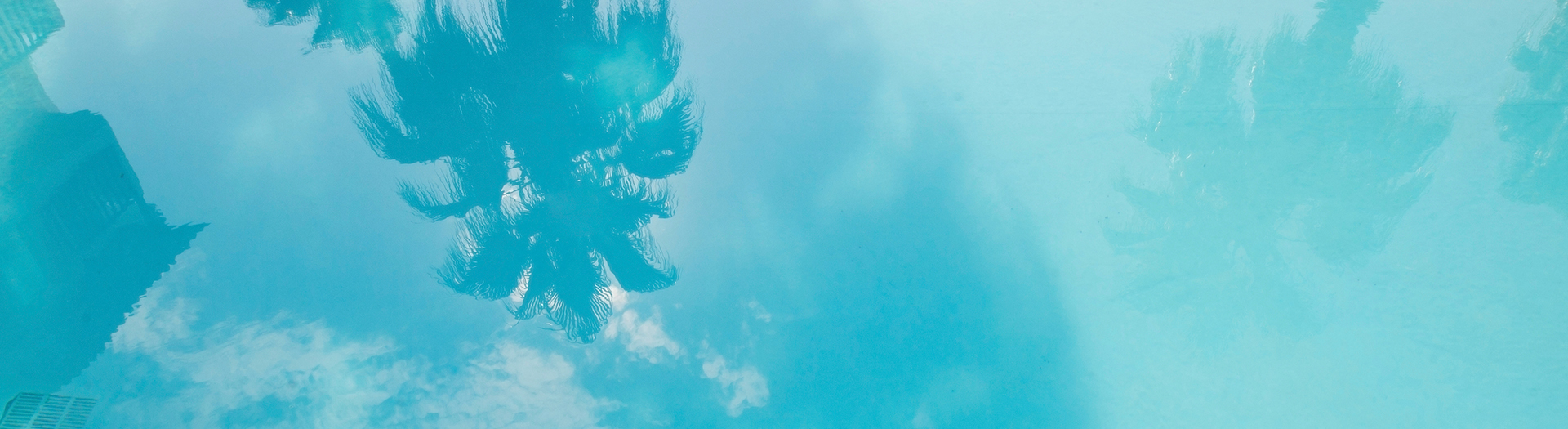 palm tree reflection in pool