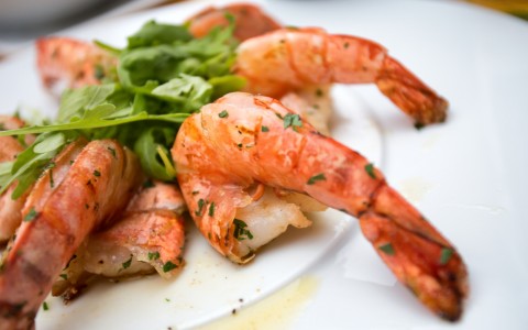 plated shrimp with arugula 