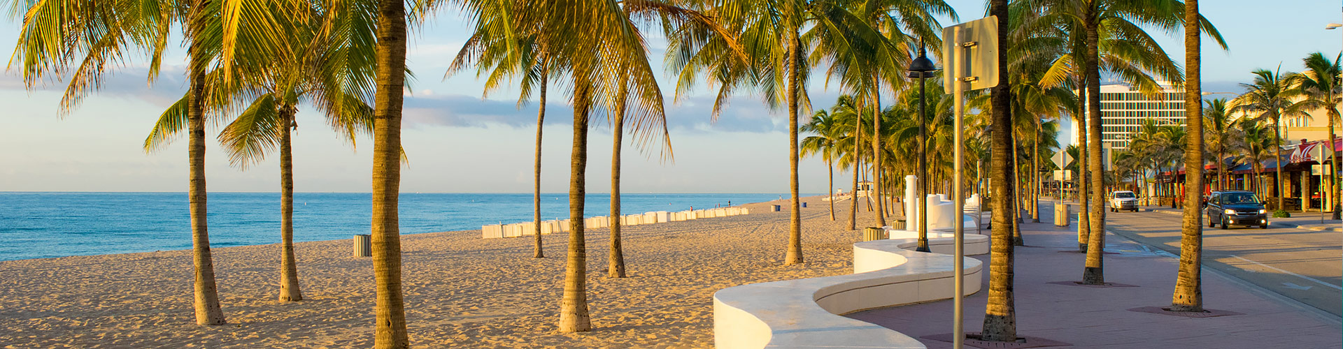 Palm trees on ft lauderdale beach