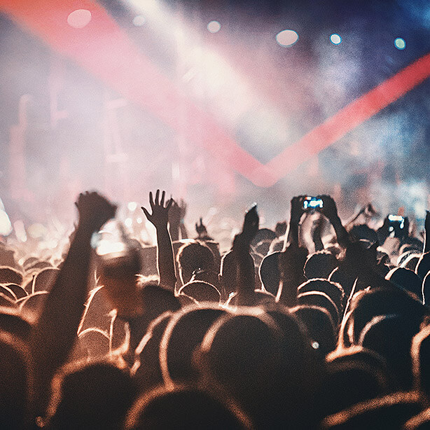 Crowd of people at concert