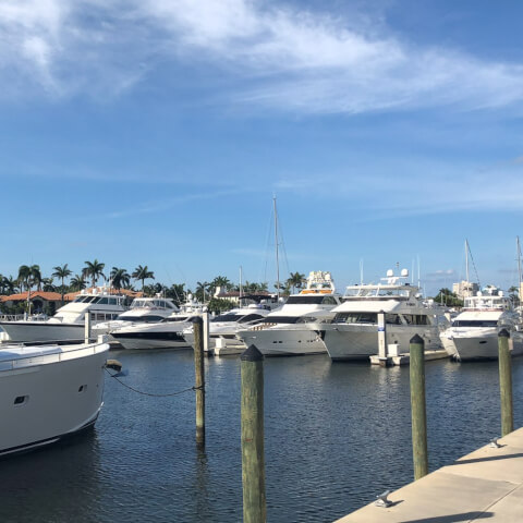 lines of boats docked at a marina