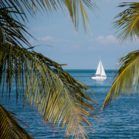 sailboat in the tropics