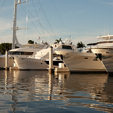 boats lined up docked in their slips