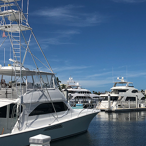 Fort Lauderdale Marinas | Official Site | Pier Sixty-Six Marina