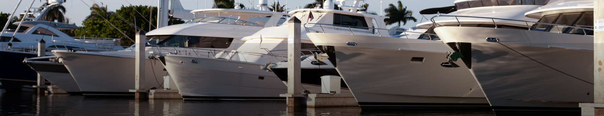 lines of boat docked in a marina