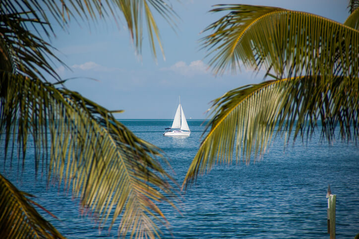 sailboat in the tropics