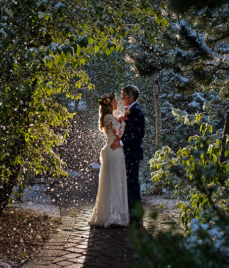 A married couple surrounded by plants and trees posing for its wedding picture