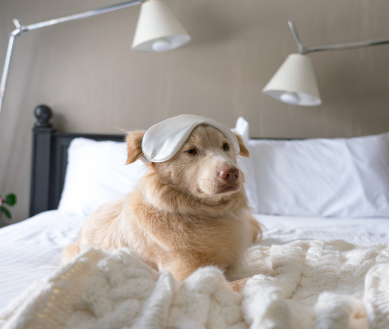 PlumpJack Inn North Lake Tahoe Hotel Official Site