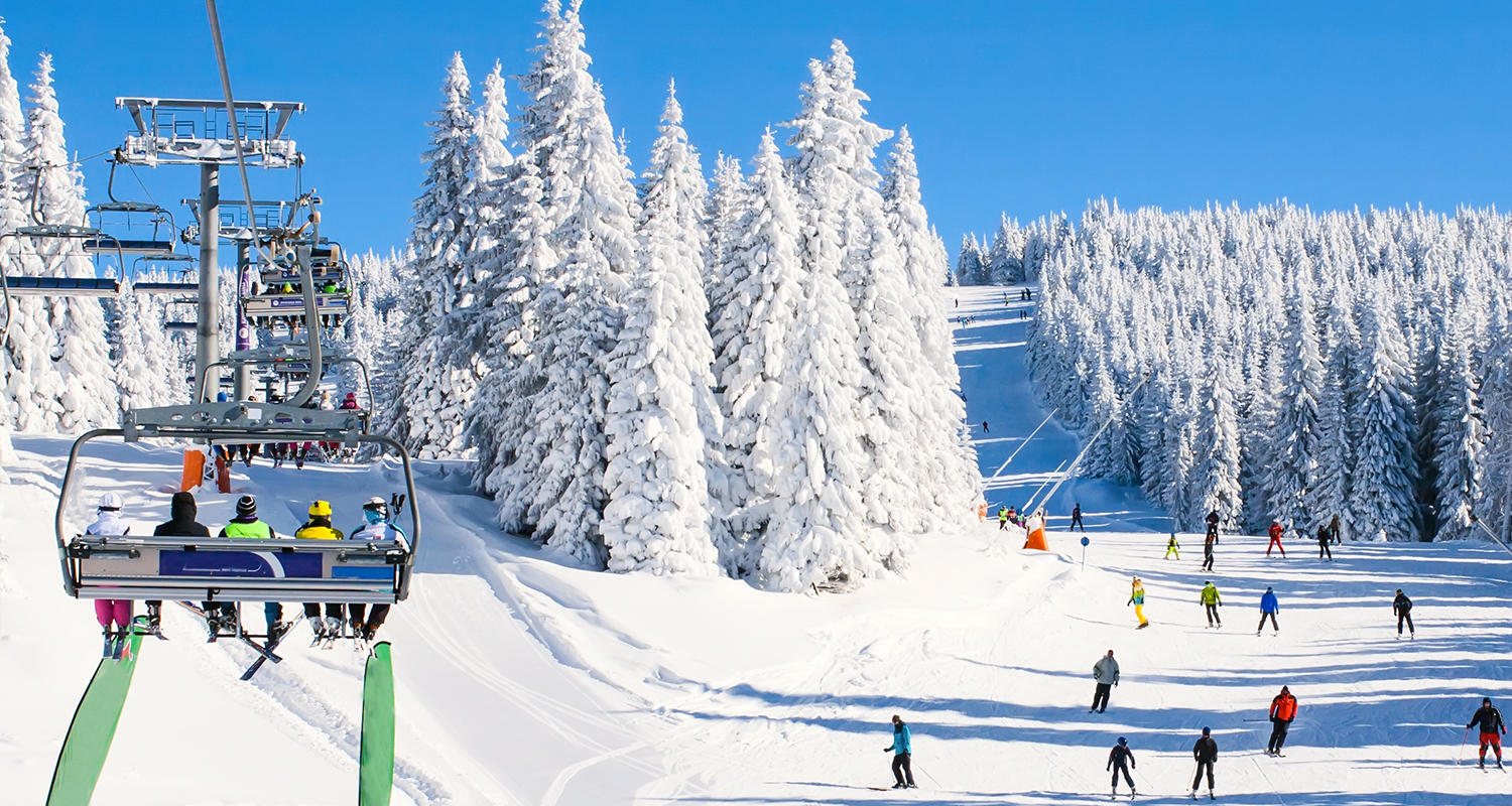 View of an aerial tram and a lot of pine trees on winter season
