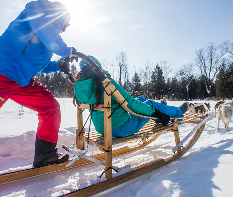 Two people doing dogsledding