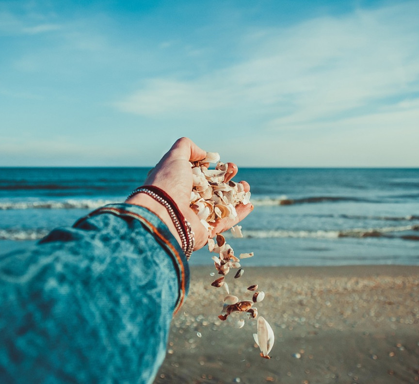 seashells