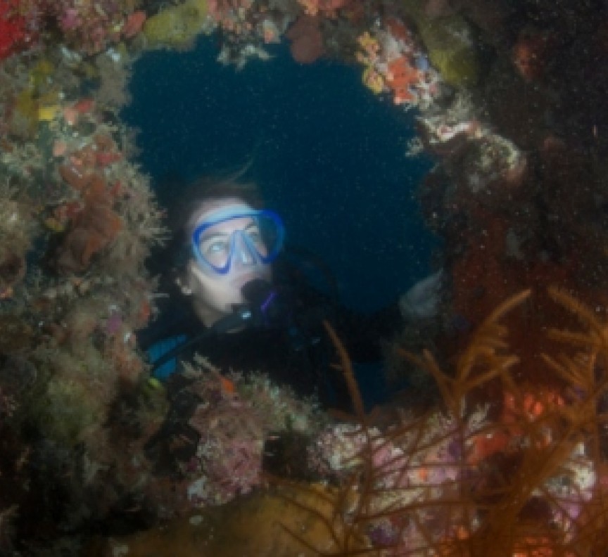 woman diving in coral