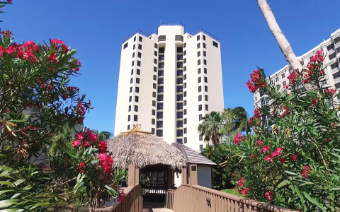 Video thumbnail - blooming flowers line a bridge and tiki hut leading up to a hotel building