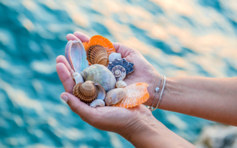 woman holding seashells