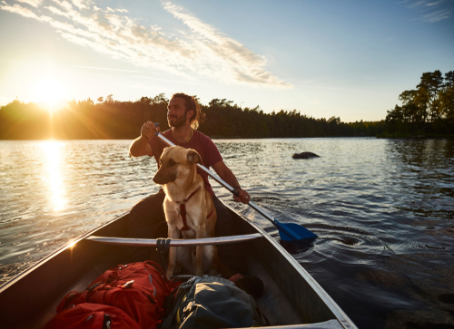 canoe tour with a dog and a man